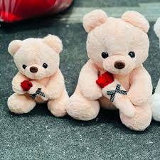 Small Teddy Bear