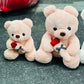 Small Teddy Bear